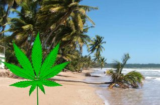 Trinidad Tobago legalizacja marihuany