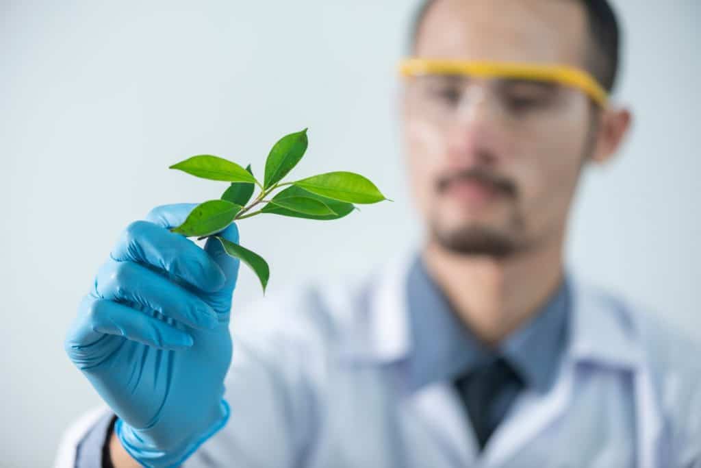 Naukowiec trzymający w ręku liść