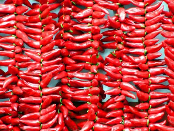 Czerwone papryczki chili