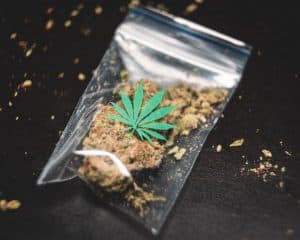 Top 10 najlepszych Amerykańskich odmian marihuany