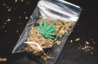 Marihuana w plastikowej torebce