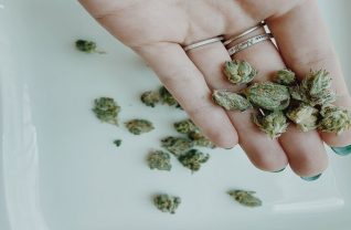 Marihuana medyczna