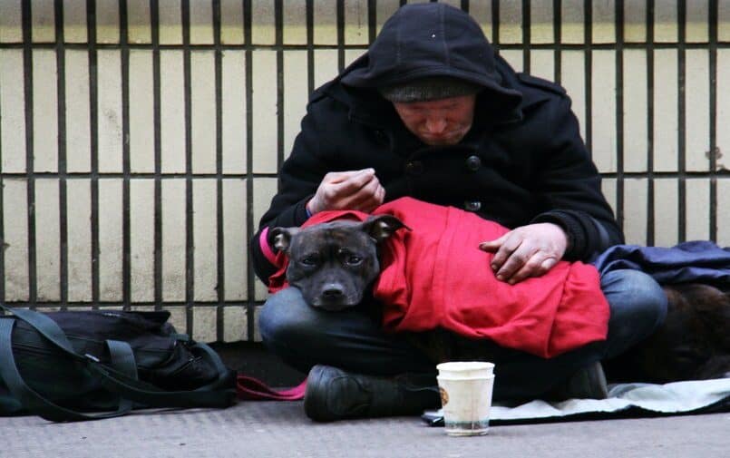Bezdomny z psem