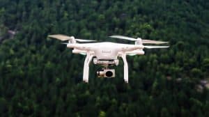 Jak drony pomagają w hodowli konopi?