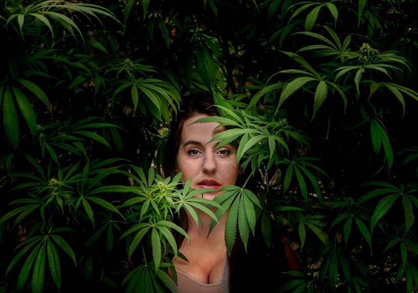 Kobieta w marihuanie