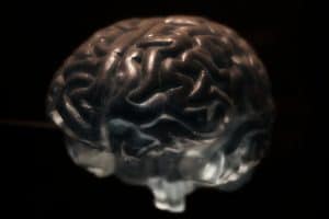 Czy wiesz, że Twój mózg potrzebuje receptorów kannabinoidowych?
